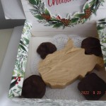Variety Packages of Fudge